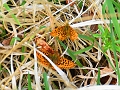 15 05 16_6305_edited-2
